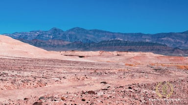 2020 of Feb 8th - Shoshone & Death Valley, California