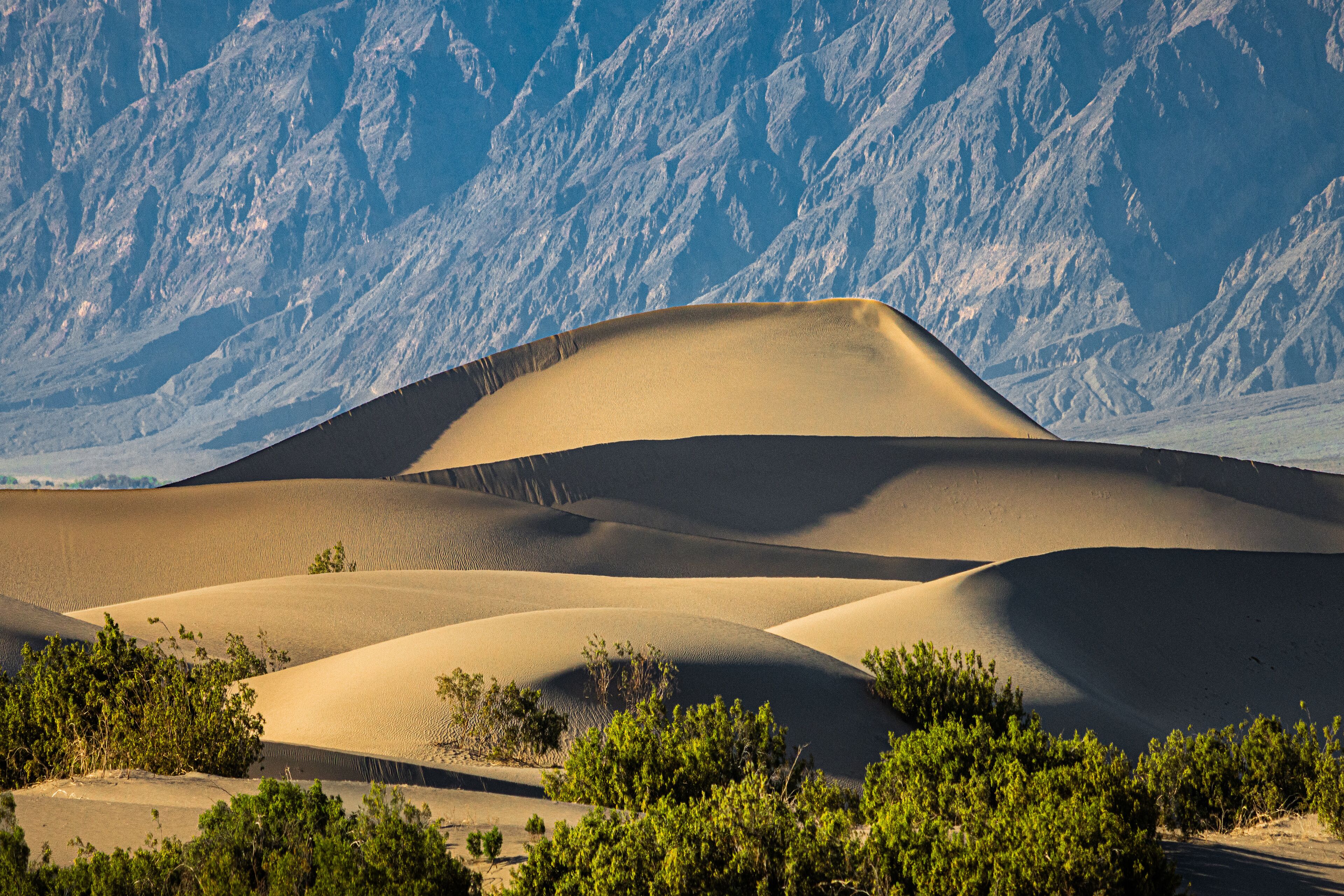 Mesquite Sand Dunes in Death Valley National Park with landscape and mountains