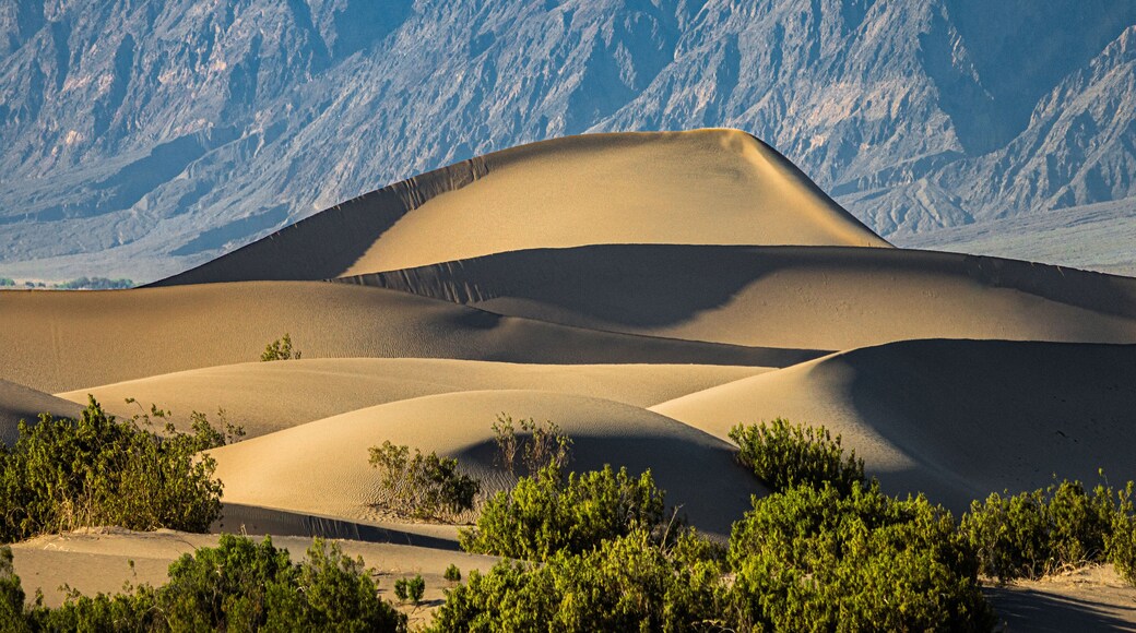 Mesquite Sand Dunes in Death Valley National Park with landscape and mountains