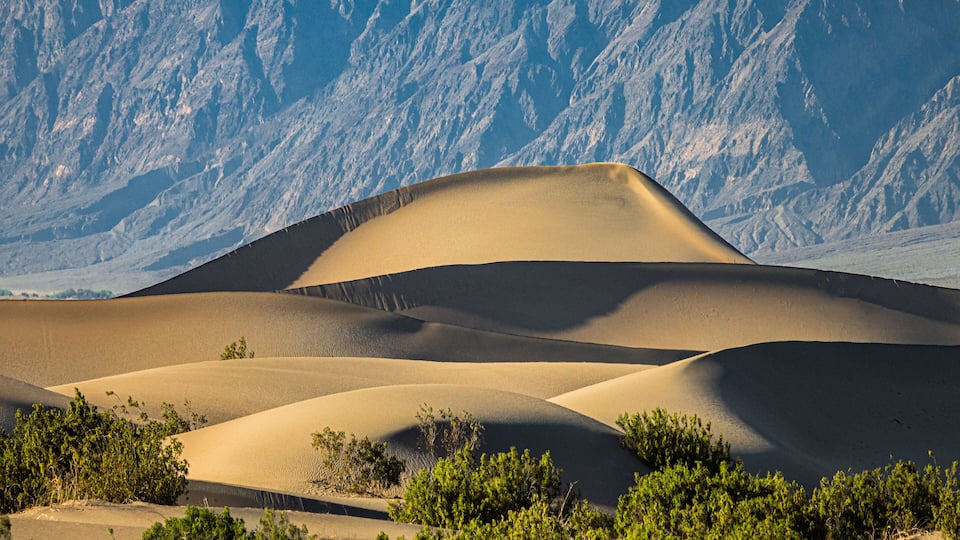 Sand dunes with sparse vegetation in a desert landscape.