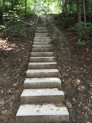 A Vita Parcours is a marked path in a forest in Switzerland with exercise stations every once in a while. It can be used free of charge by anyone