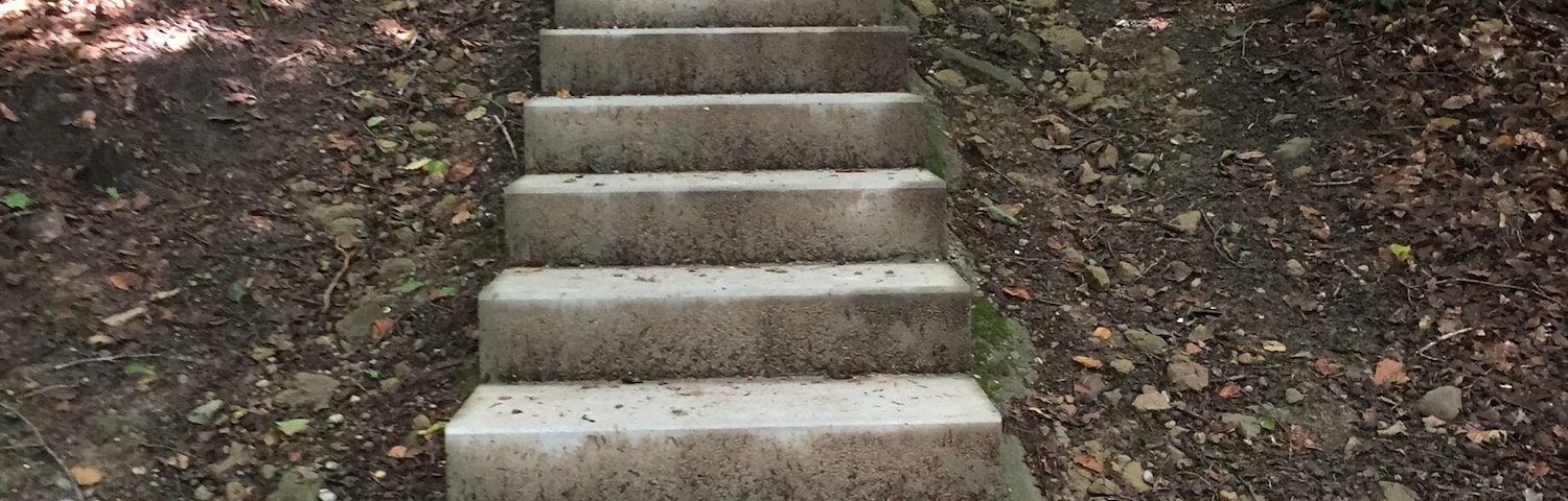 A Vita Parcours is a marked path in a forest in Switzerland with exercise stations every once in a while. It can be used free of charge by anyone