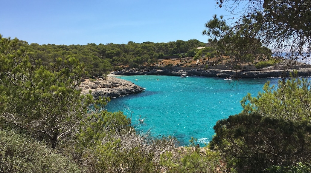 Cala Santanyi, Majorca, Spain is a popular beach. It has lovely fine sand and is in a pretty cove, with rocky cliffs and pine forests.