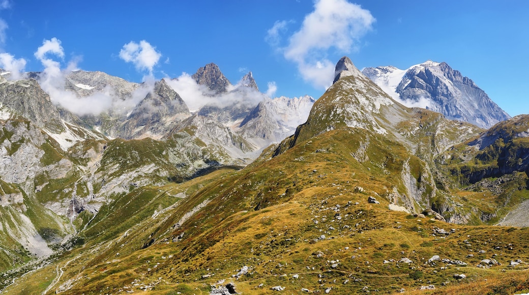 برالوجنان لا فانويز