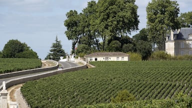 Pauillac