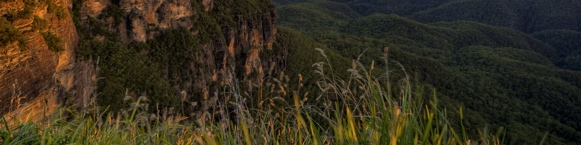 Un paisaje montañoso con formaciones rocosas destacadas y un bosque denso.