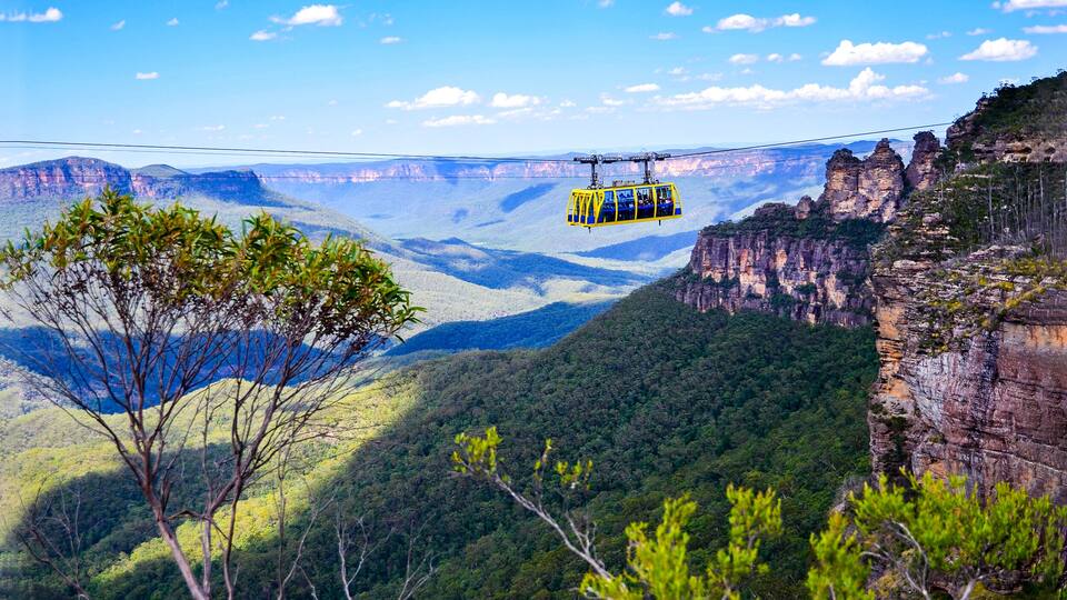 A cable car over a canyon with lush green forest and rocky cliffs.