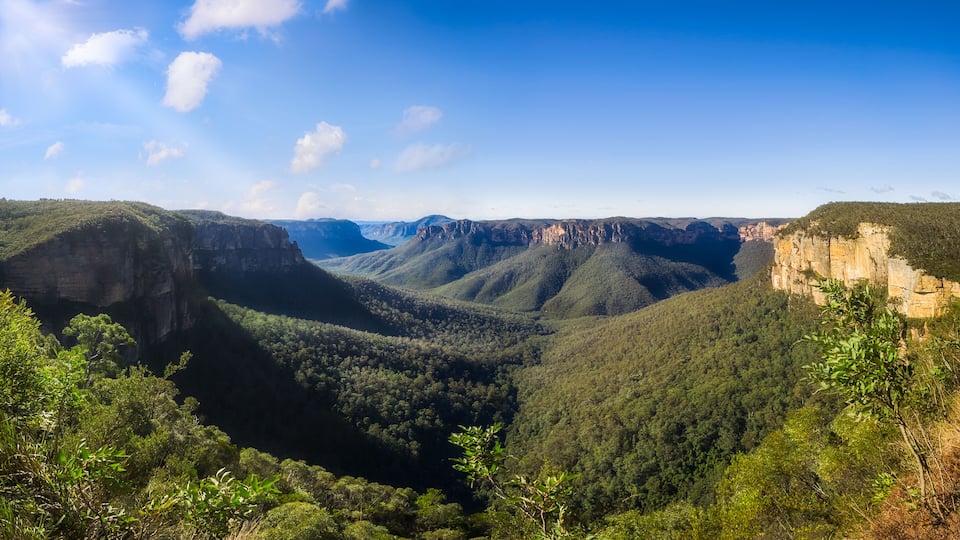 A canyon with steep cliffs and dense forest.