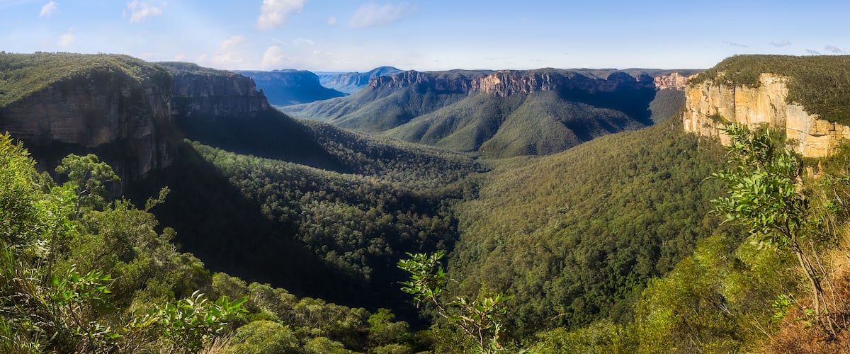 A canyon with steep cliffs and dense forest.