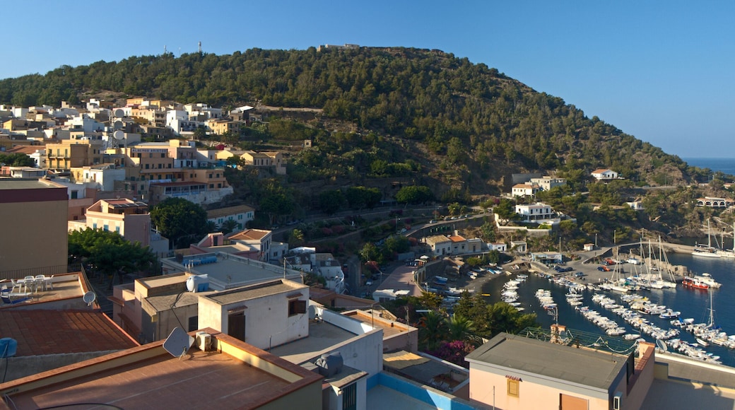 The wonderful island of Ustica