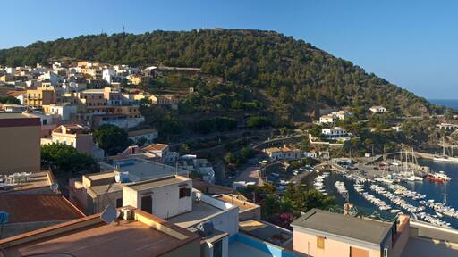 The wonderful island of Ustica