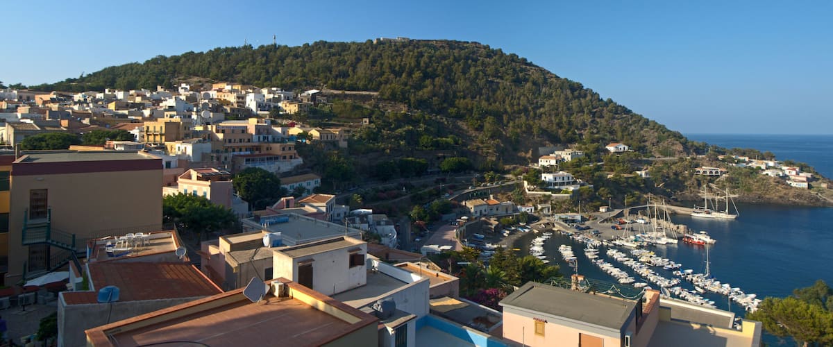 A coastal town with a marina, buildings, and a hill with dense vegetation.