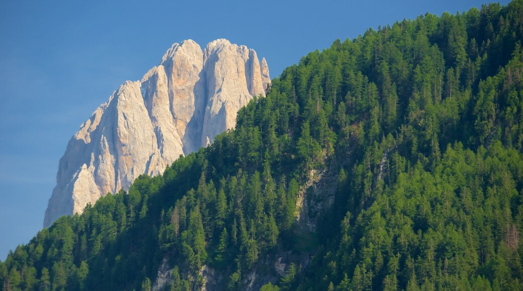 Ortisei featuring mountains and forests