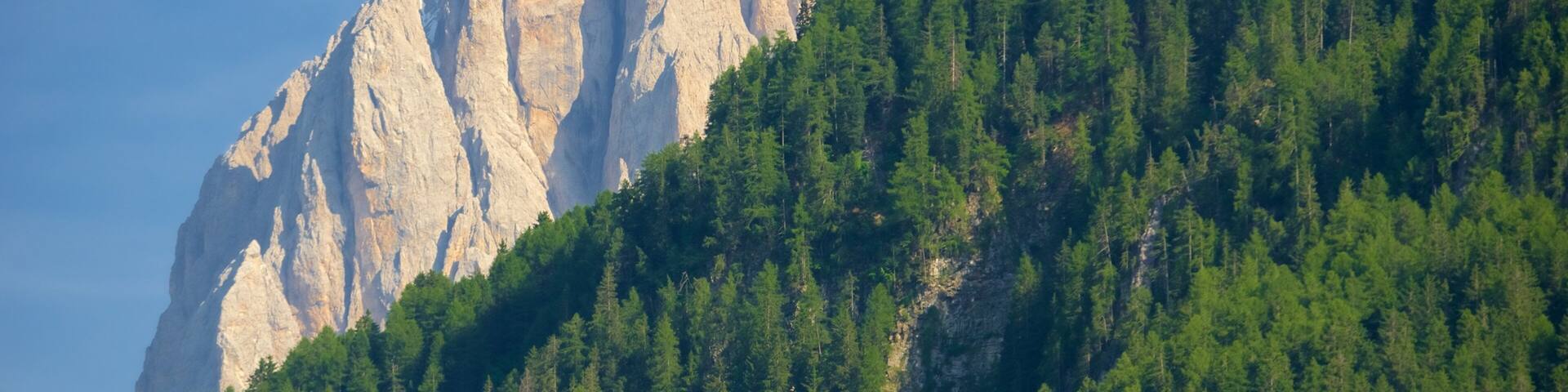 Ortisei featuring mountains and forests