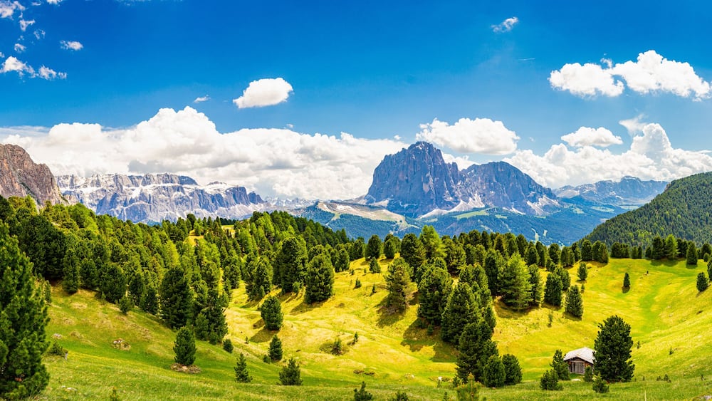 Un paysage montagneux avec de vastes forêts, un sommet imposant et un ciel bleu dégagé.