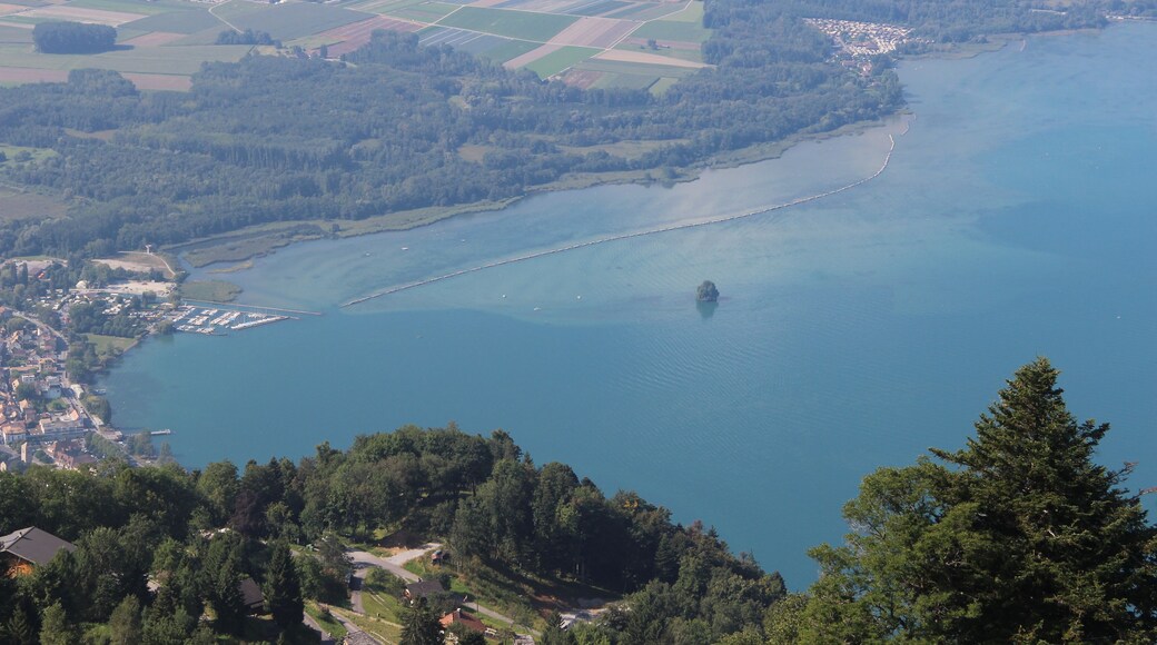 View onto the Lake of Geneva from Creux ร la Cierge