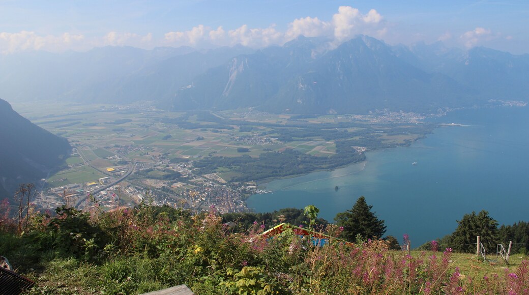 View onto the Lake of Geneva from Creux à la Cierge