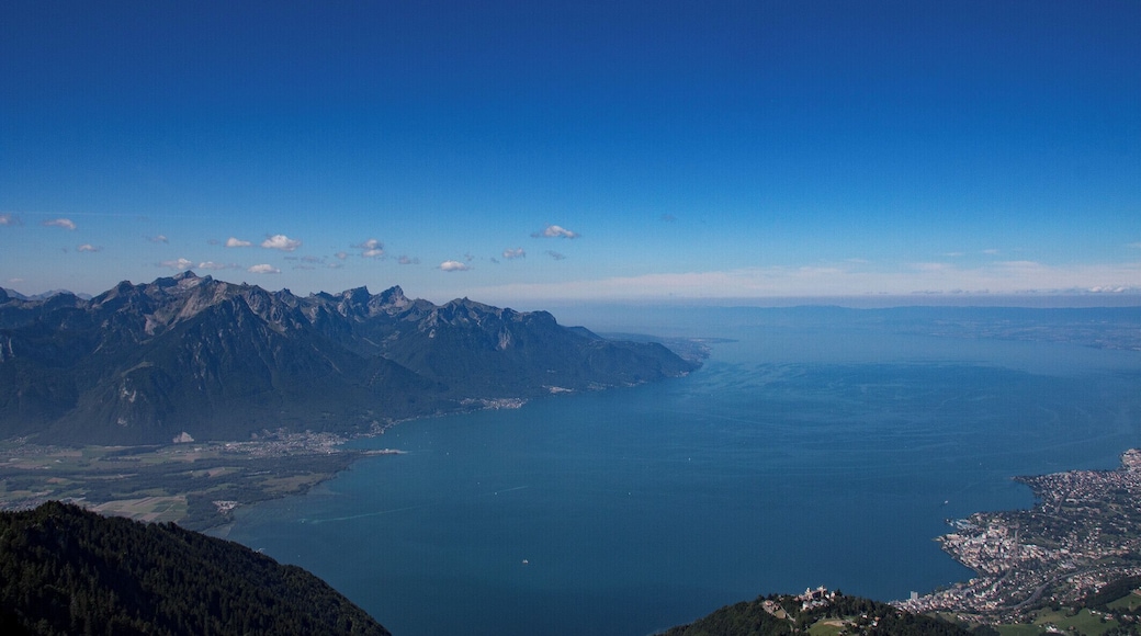 Towering at an altitude of 2,042 m, Rochers-de-Naye has long been a favoured destination for nature lovers. To get to this unique place, take the charming cog railway that departs every hour from Montreux and ascends more than 1,600 m on a magnificent journey through fields, villages and forests. After a journey that takes around 55 minutes â and is worth doing on its own â you reach the summit, where a whole host of activities are available.