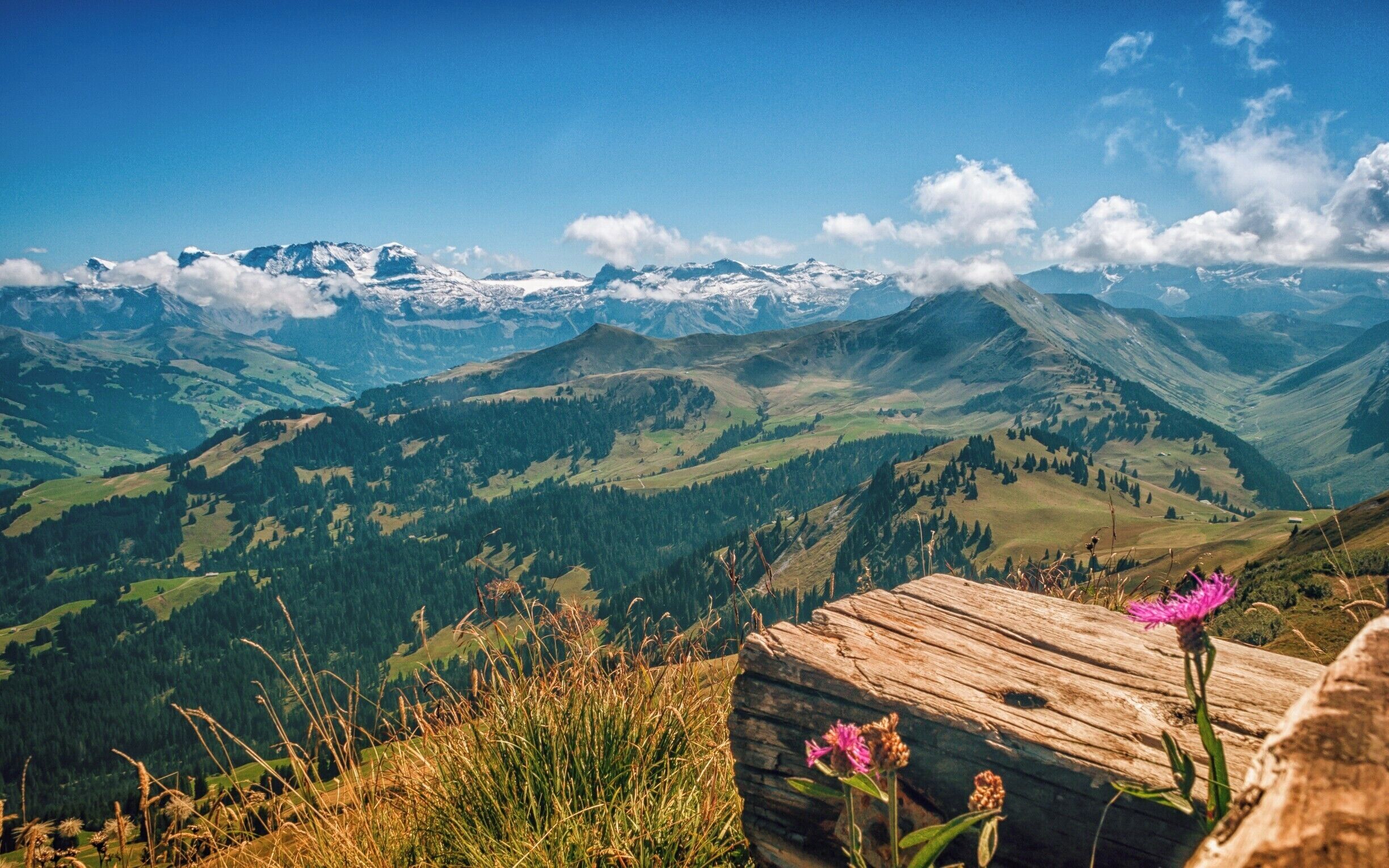 I could have sat here all day just looking and breathing. What a beautiful country Switzerland is. If you ever get a chance to visit, go, you'll love it I'm sure. 