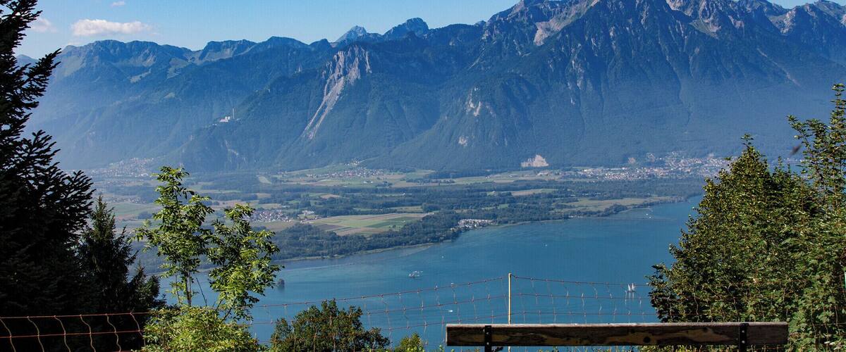 Towering at an altitude of 2,042 m, Rochers-de-Naye has long been a favoured destination for nature lovers. To get to this unique place, take the charming cog railway that departs every hour from Montreux and ascends more than 1,600 m on a magnificent journey through fields, villages and forests. After a journey that takes around 55 minutes – and is worth doing on its own – you reach the summit, where a whole host of activities are available.