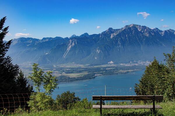 Towering at an altitude of 2,042 m, Rochers-de-Naye has long been a favoured destination for nature lovers. To get to this unique place, take the charming cog railway that departs every hour from Montreux and ascends more than 1,600 m on a magnificent journey through fields, villages and forests. After a journey that takes around 55 minutes – and is worth doing on its own – you reach the summit, where a whole host of activities are available.
