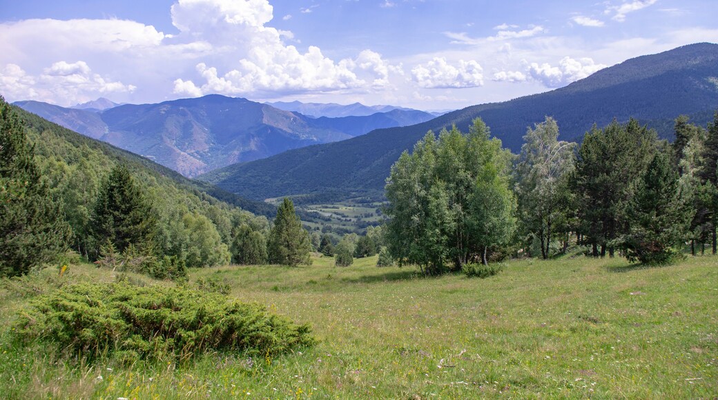 Paysage pyrénéen