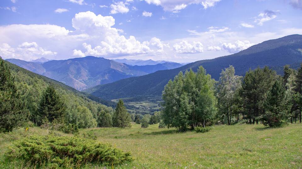 A mountainous landscape with a valley, dense forests, and a clear sky.