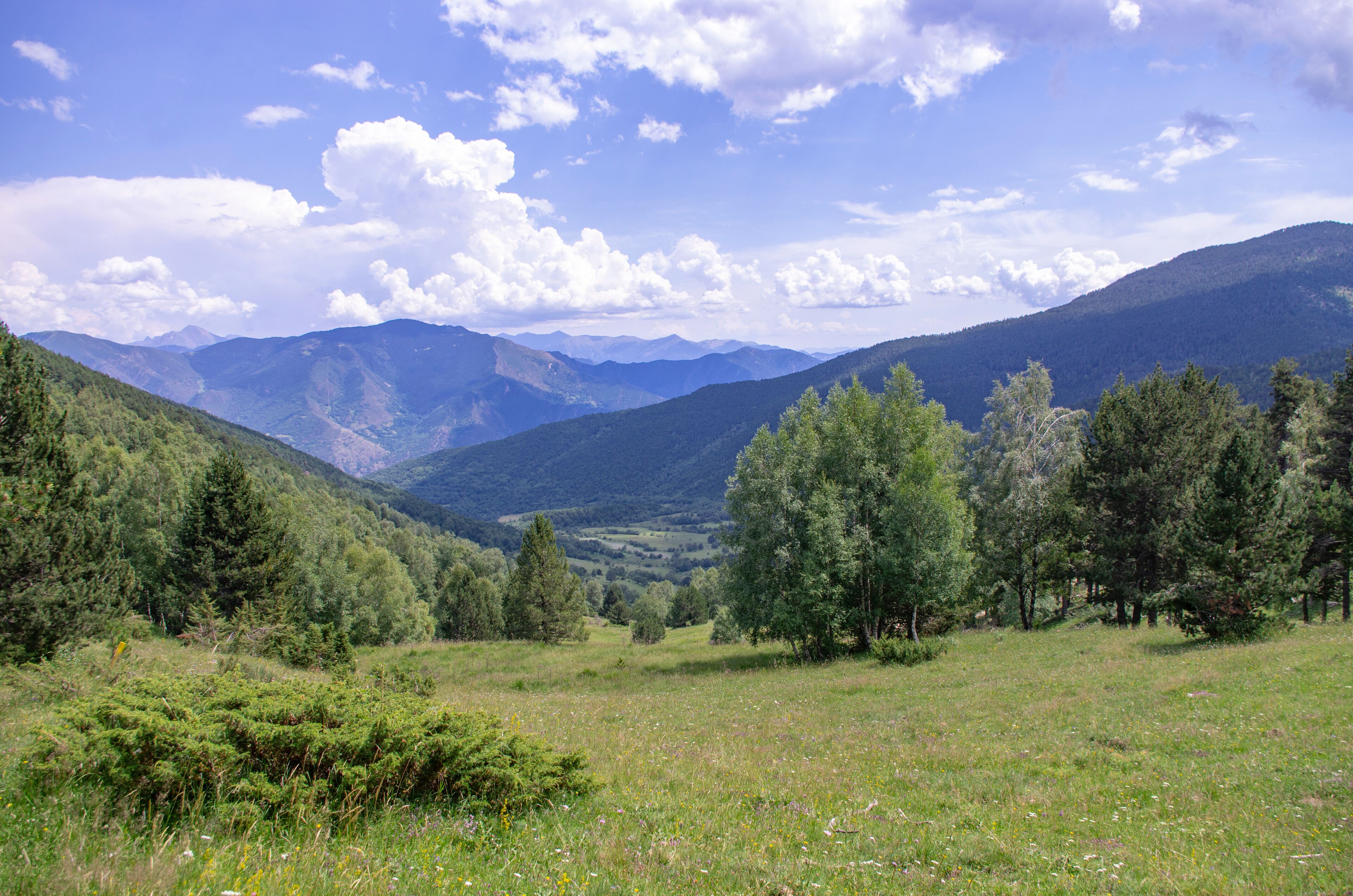 A mountainous landscape with a valley, dense forests, and a clear sky.