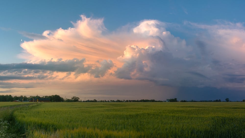 Thunderstorm panorama with rye field in Sweden