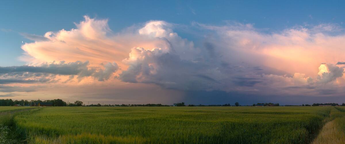 Thunderstorm panorama with rye field in Sweden