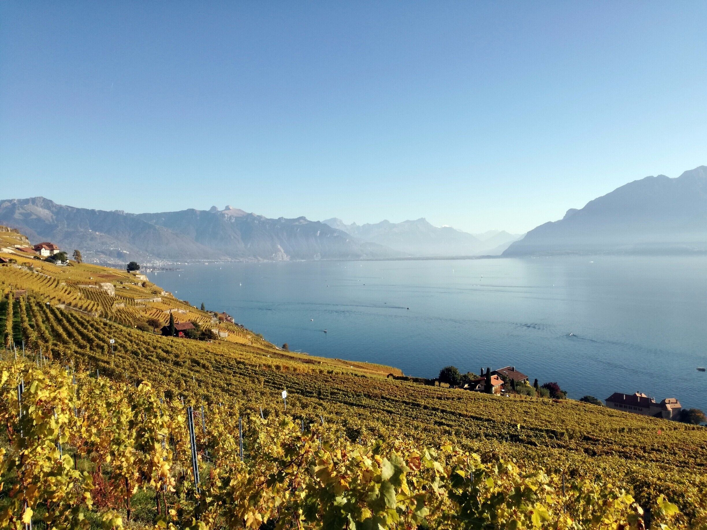 If there is one time of the year to visit the Unesco Lavaux Terrasse, it is autumn. There are a bunch of hiking options between Lutry and Vevey with fantastic views on the lake, mountains and vineyards.  

#AutumnMagic #Switzerland #Lavaux #Hiking #Lake #LifeatExpedia #Unesco #Vineyards