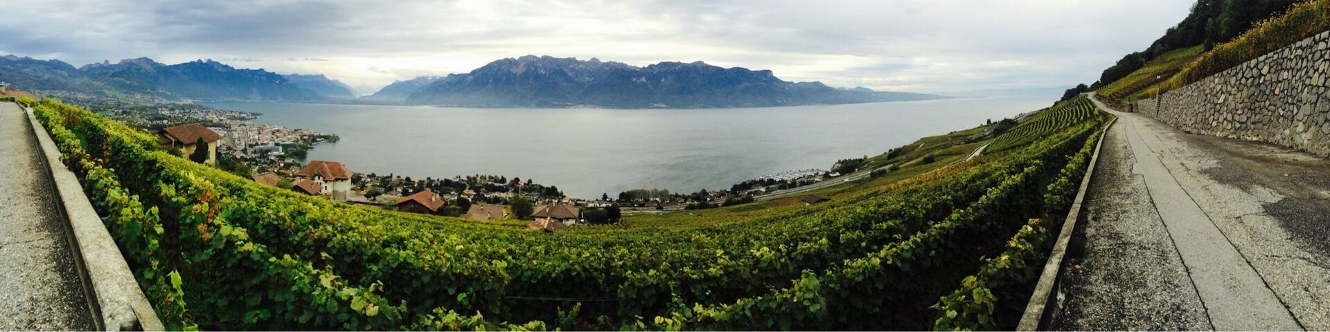 Alpes view from grapefruits garden