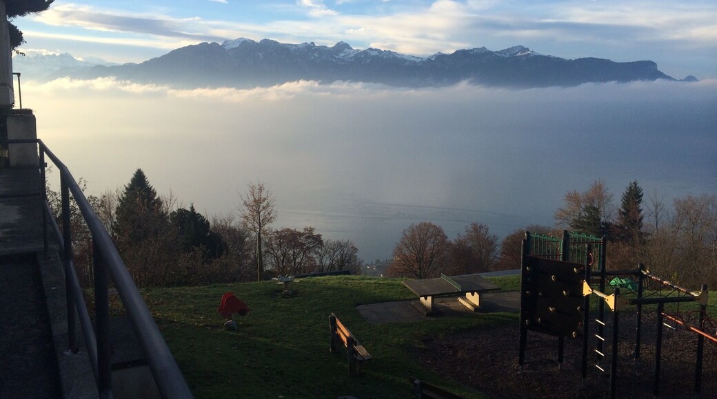Alpes view from "au chalet restaurant" Mirador Kempiski lake geneva