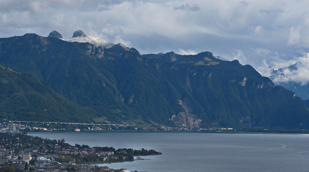 Distretto della Riviera-Pays-d'Enhaut