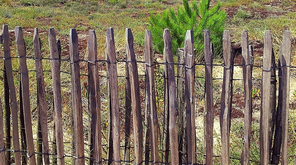 Near the beach (Vendée - France)
July 2012 - Samsung Galaxy SII
#Beach #Vendée #France
