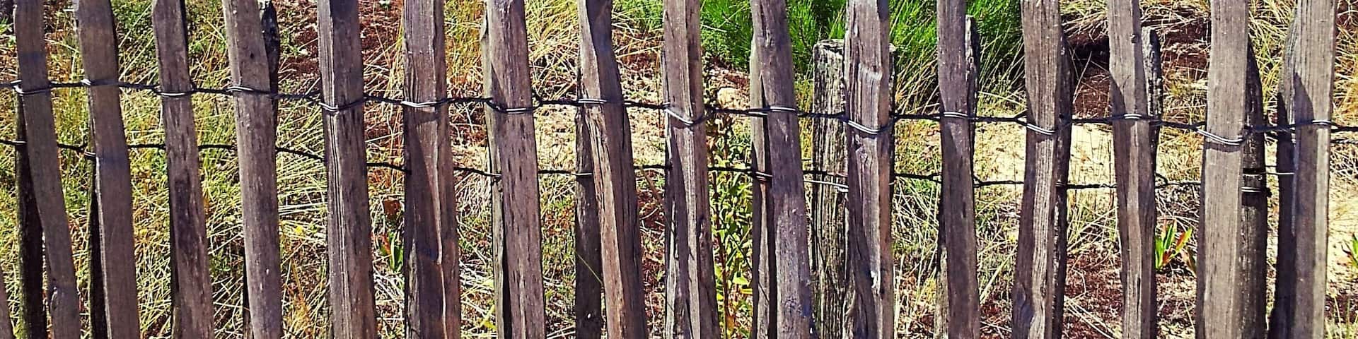 Near the beach (Vendée - France)
July 2012 - Samsung Galaxy SII
#Beach #Vendée #France