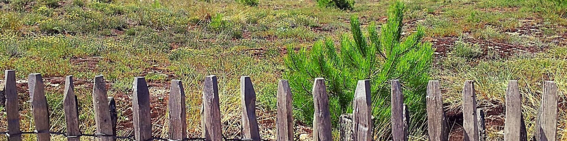 Near the beach (Vendée - France)
July 2012 - Samsung Galaxy SII
#Beach #Vendée #France