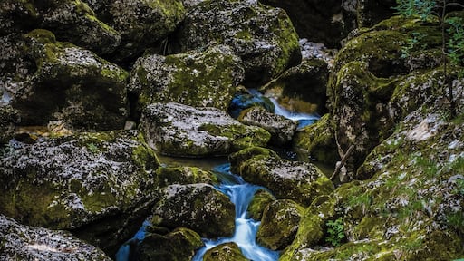 The Gorges de l'Orbe are located between Vallorbe and Orbe and are best explored by hiking between both towns. The direction from Vallorbe towards Orbe allows to follow the flow of the river and is therefore a bit easier ... #hiking