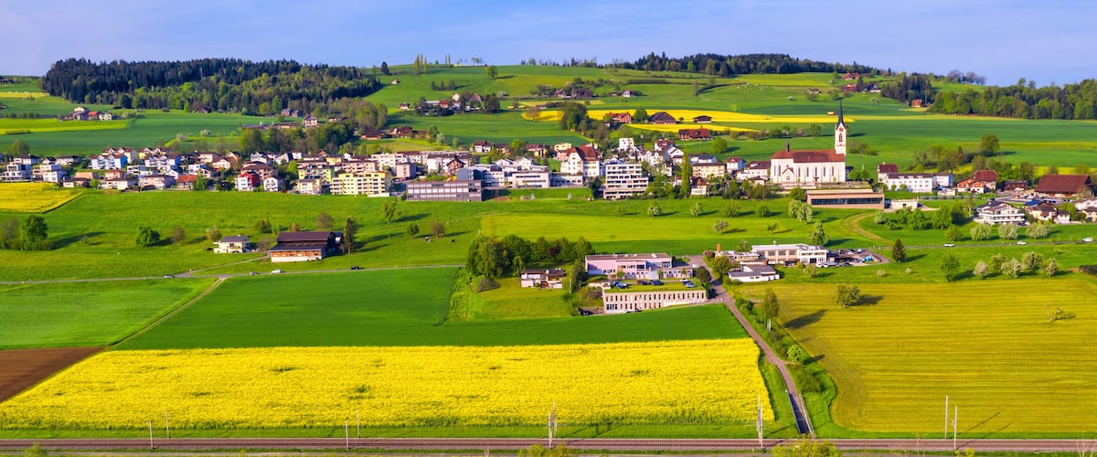 A town with a church, houses, fields, and a river.