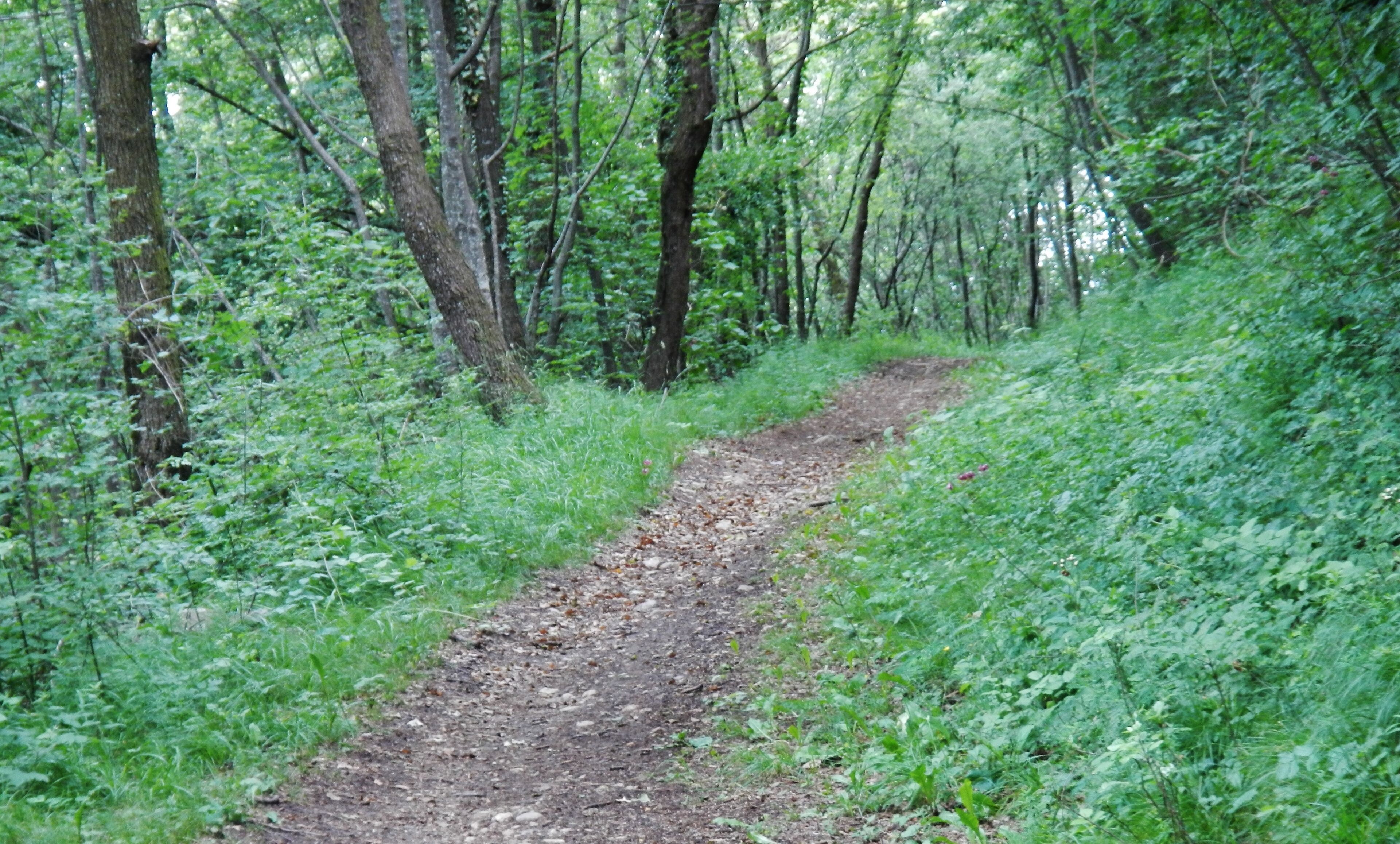 Anaconda Supertrail am Gardasee
