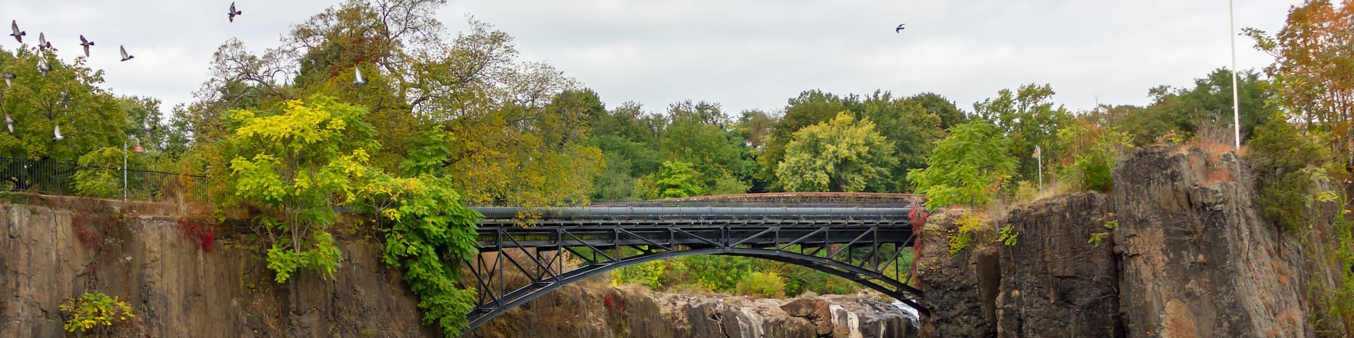 birds Paterson Great Falls National Historical Park new york usa