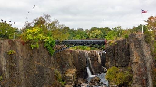 birds Paterson Great Falls National Historical Park new york usa