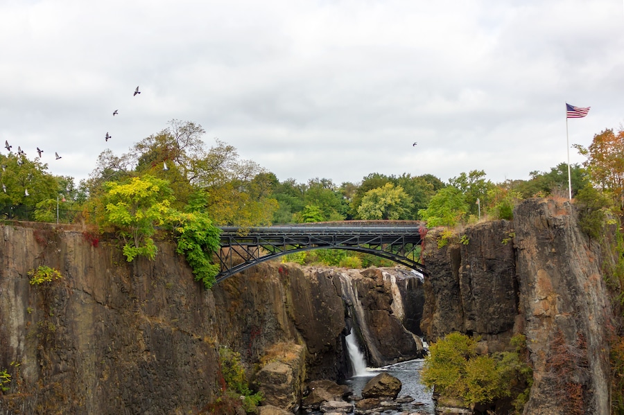 birds Paterson Great Falls National Historical Park new york usa