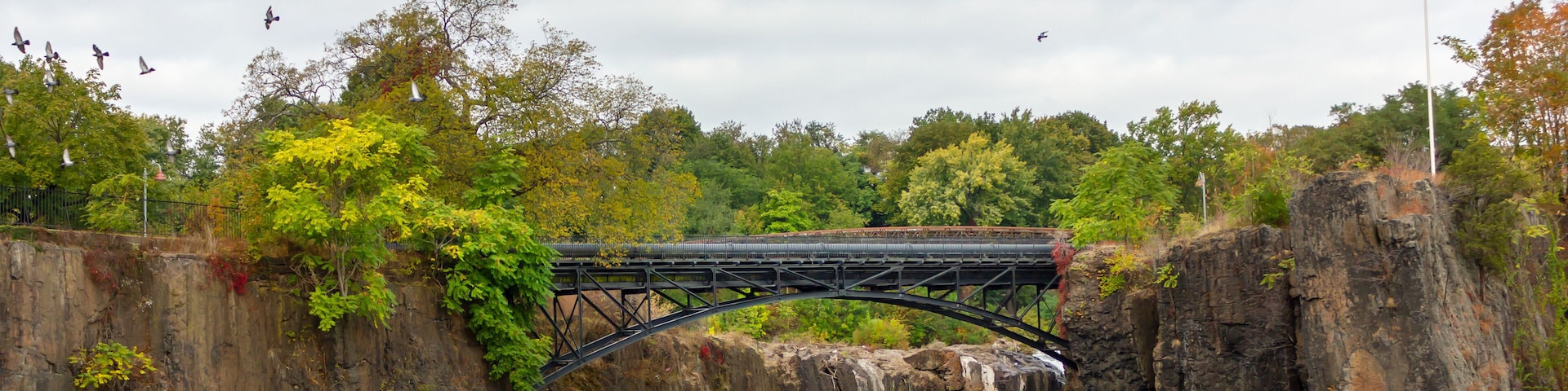 birds Paterson Great Falls National Historical Park new york usa