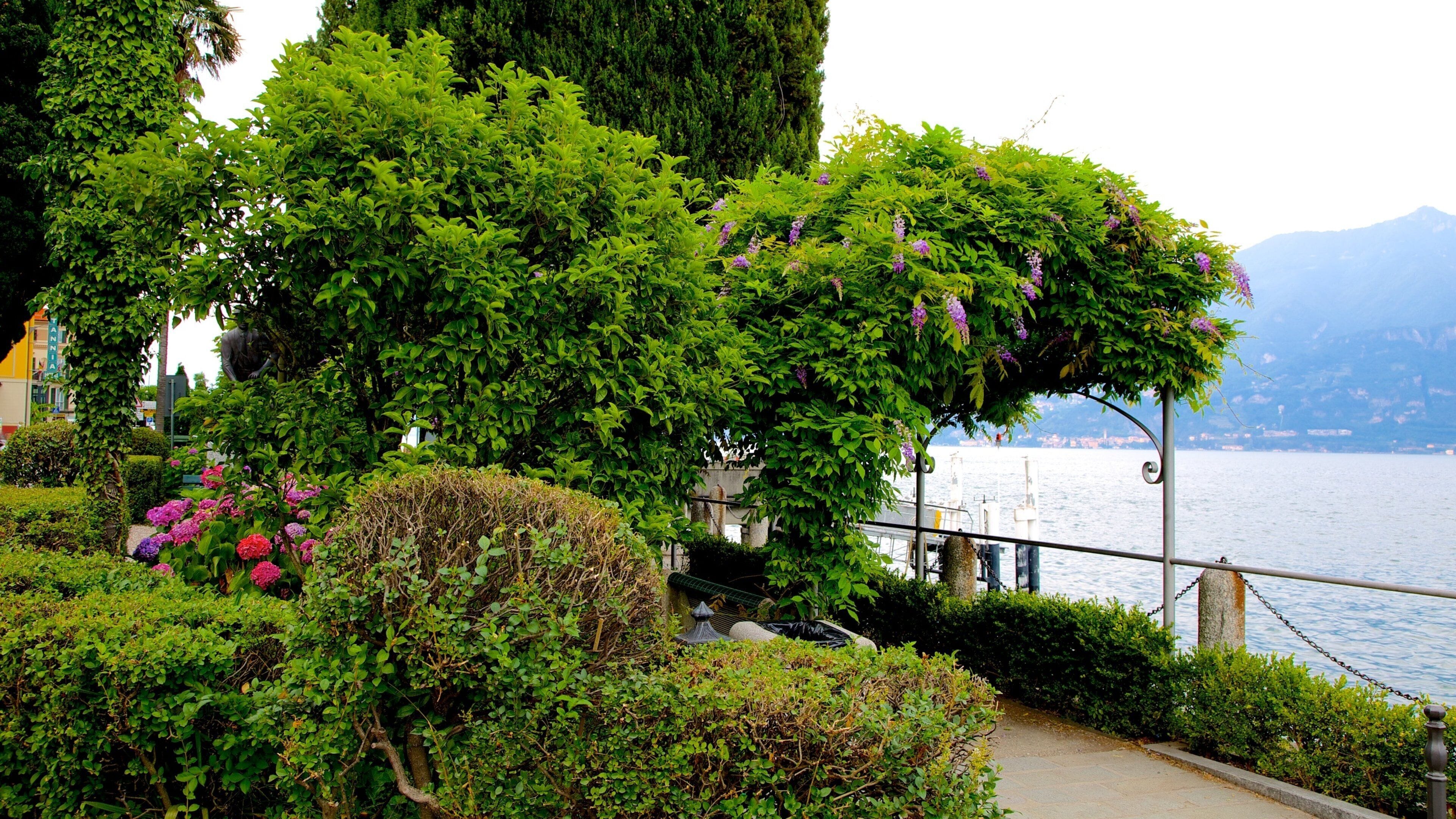 Cadenabbia showing a garden