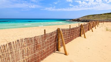 Een strand met een bamboombordering, helder turquoise water en een heldere lucht.