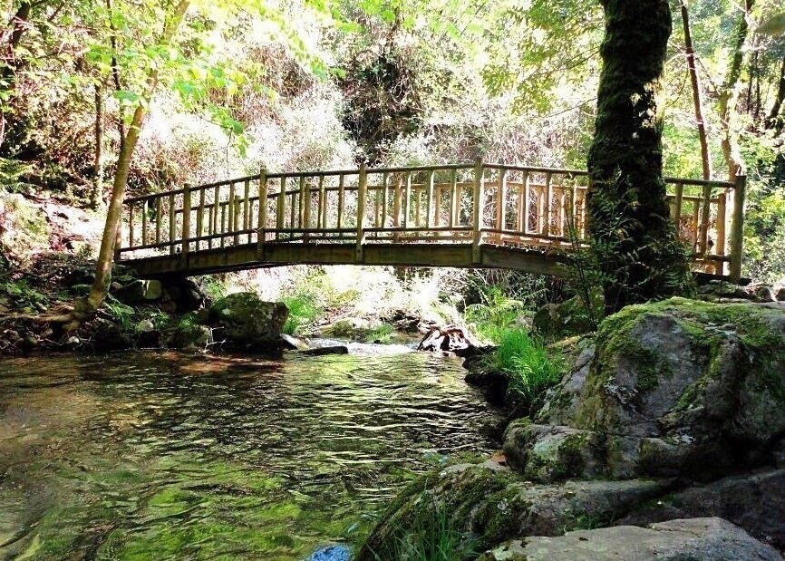 Parque da Curia, Portugal
#EndlessSummer