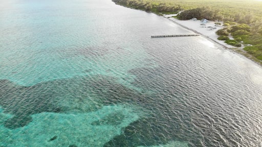 Eastern District East End beach in the Cayman Islands with board walj