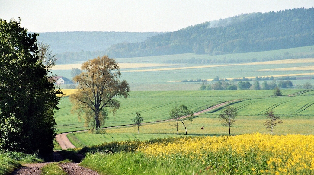 Meckenhausen (Hilpoltstein), landscape