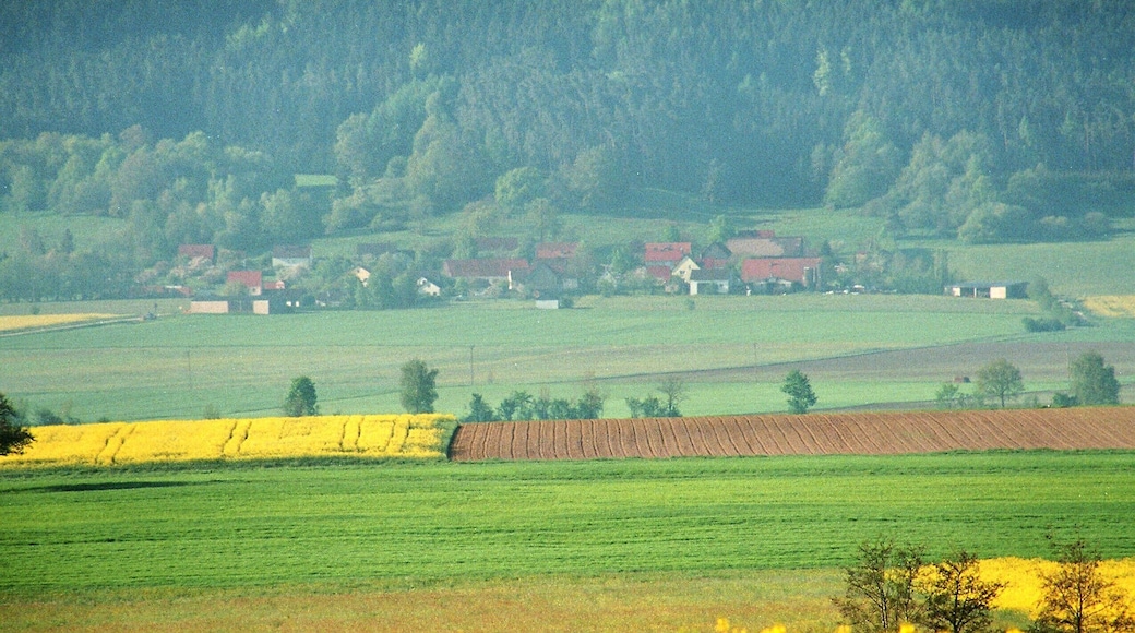 Tandl (Hilpoltstein), view to the village